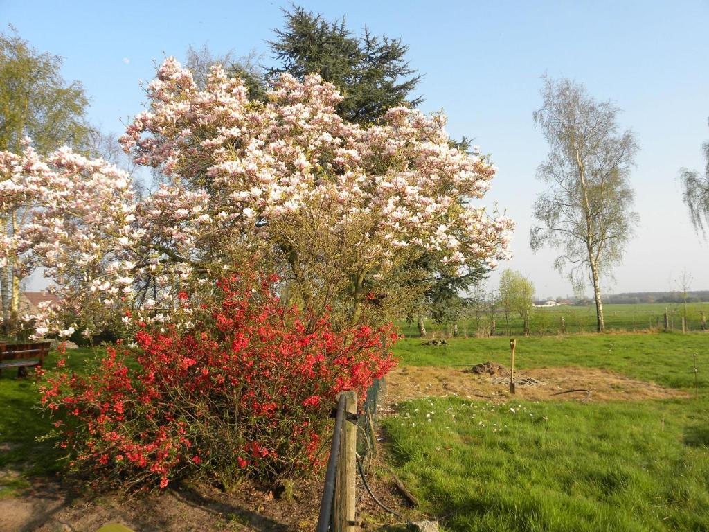 B&B Artiriacumhoeve Zedelgem Exterior foto